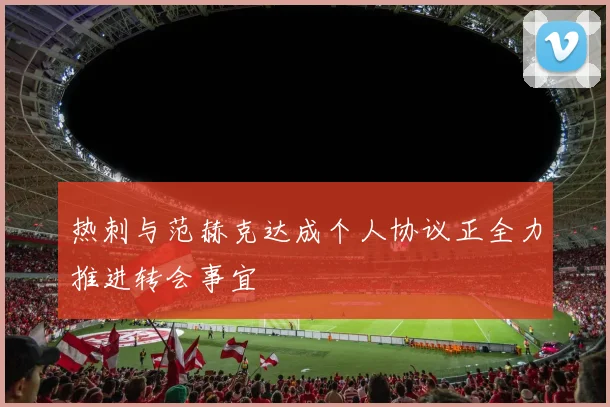 热刺与范赫克达成个人协议正全力推进转会事宜