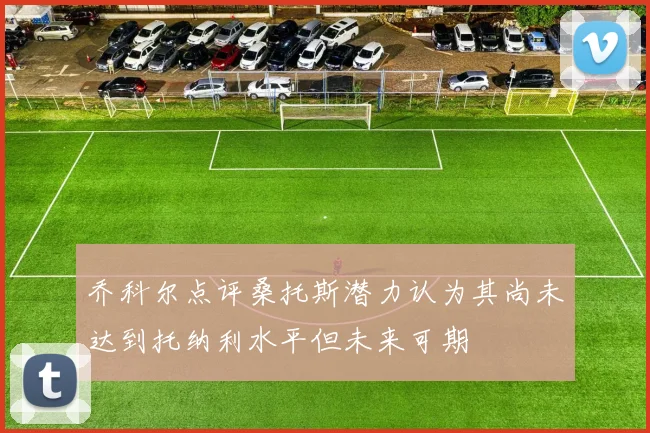 乔科尔点评桑托斯潜力认为其尚未达到托纳利水平但未来可期