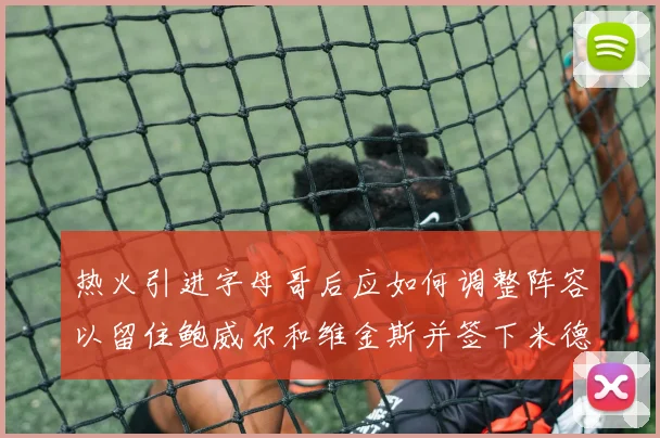 热火引进字母哥后应如何调整阵容以留住鲍威尔和维金斯并签下米德尔顿